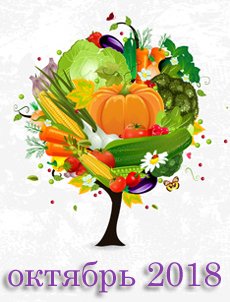 Новые виды телефонного мошенничества 2018 Новые виды телефонного мошенничества 2018