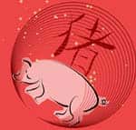 Восточный гороскоп на 2017 год - Свинья