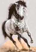 Зороастрийский гороскоп на 2017 год - Лошадь (1925, 1957, 1989, 2021, 2053)