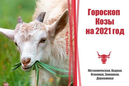 Восточный гороскоп Козы на 2021 год для женщин и мужчин