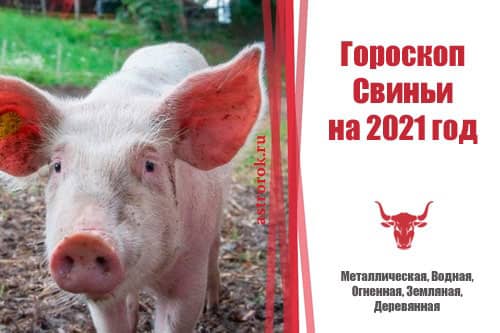 Восточный гороскоп Свиньи на 2021 год для женщин и мужчин