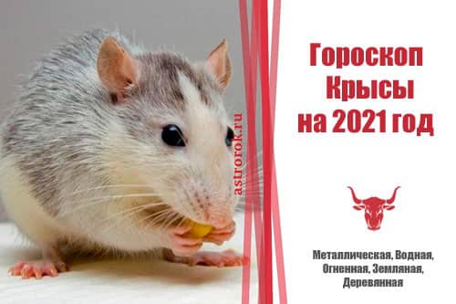 Гороскоп Крысы 2021