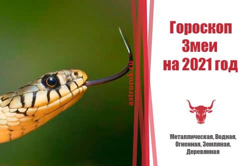 гороскоп змеи на 2021 год