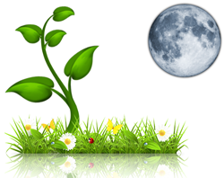 Лунный календарь огородника и садовода на 2019 год