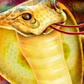 Гороскоп ацтеков - Змея