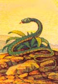 13 лунных периодов в гороскопе Майя - Змея (рожденные с 2 майя по 29 майя)