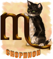 Кошачий гороскоп, кошка Скорпион