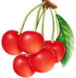 Фруктово-ягодный женский гороскоп фрукт Близнецы